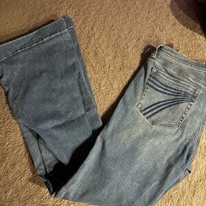 7 For All Mankind Light Blue Flare Jeans